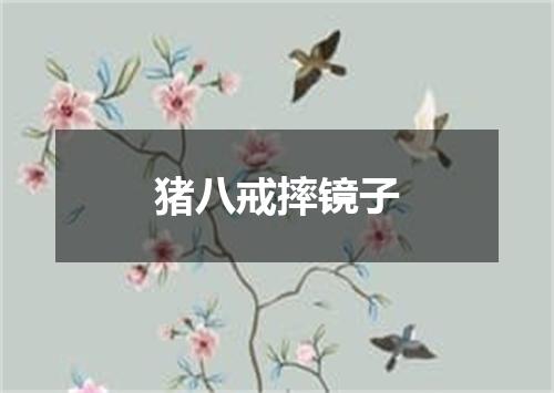 猪八戒摔镜子