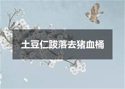 土豆仁跋落去猪血桶