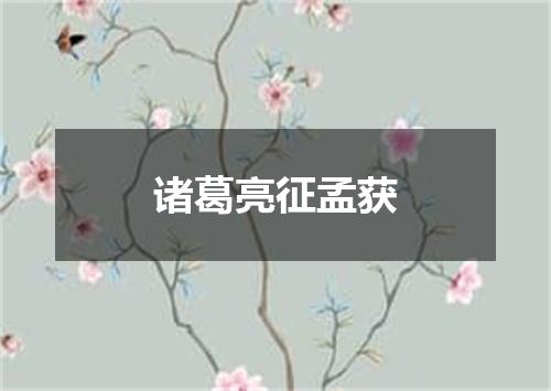 诸葛亮征孟获