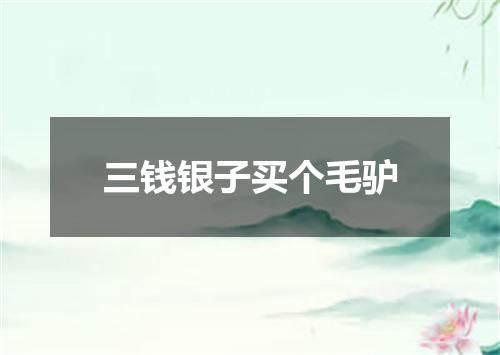 三钱银子买个毛驴