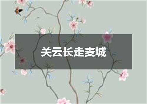 关云长走麦城