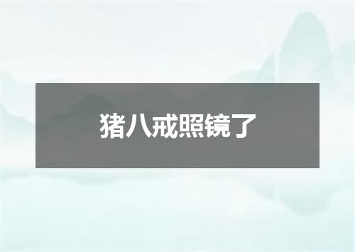 猪八戒照镜了