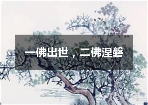 一佛出世，二佛涅磐