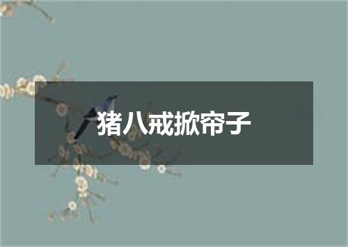 猪八戒掀帘子