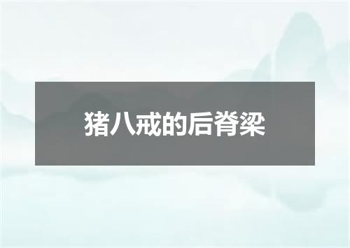 猪八戒的后脊梁
