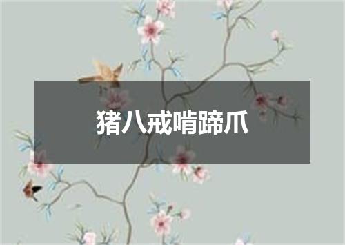 猪八戒啃蹄爪