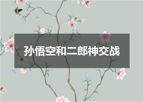 孙悟空和二郎神交战