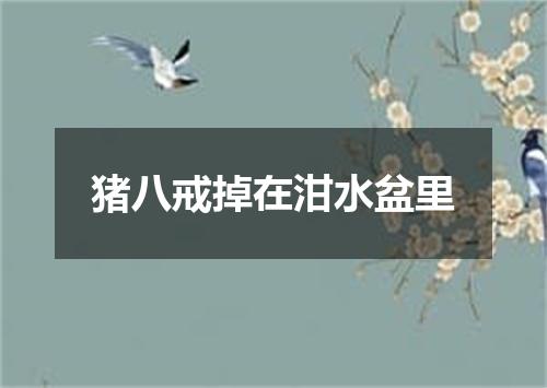 猪八戒掉在泔水盆里