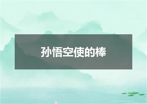 孙悟空使的棒