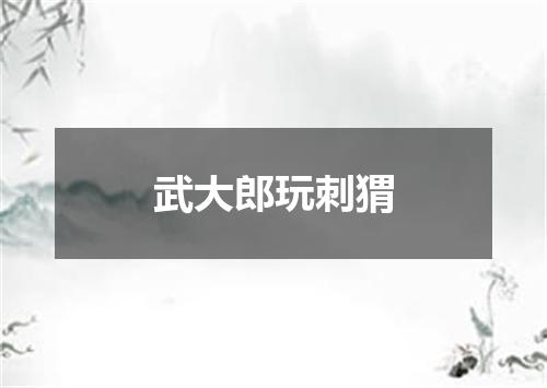 武大郎玩刺猬