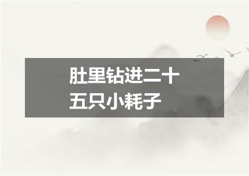 肚里钻进二十五只小耗子
