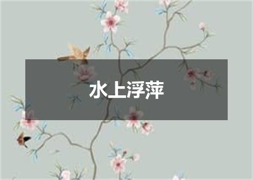 水上浮萍