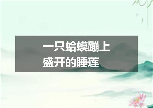 一只蛤蟆蹦上盛开的睡莲