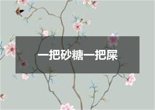 一把砂糖一把屎