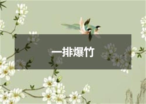 一排爆竹