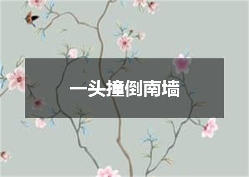 一头撞倒南墙