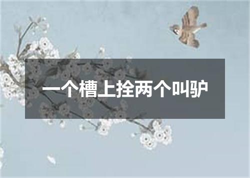 一个槽上拴两个叫驴