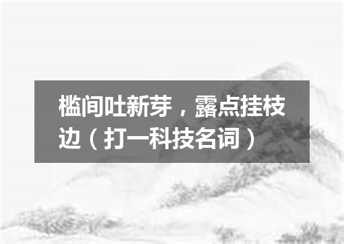 槛间吐新芽，露点挂枝边（打一科技名词）
