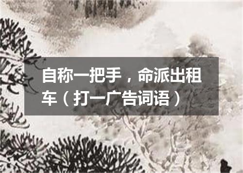 自称一把手，命派出租车（打一广告词语）