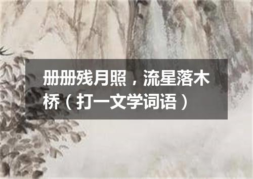 册册残月照，流星落木桥（打一文学词语）