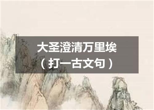 大圣澄清万里埃（打一古文句）