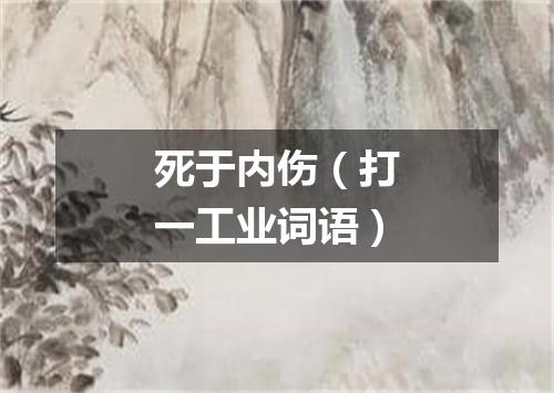 死于内伤（打一工业词语）