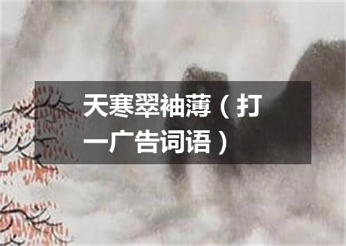 天寒翠袖薄（打一广告词语）