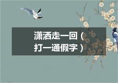 潇洒走一回（打一通假字）