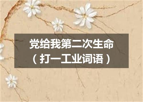 党给我第二次生命（打一工业词语）