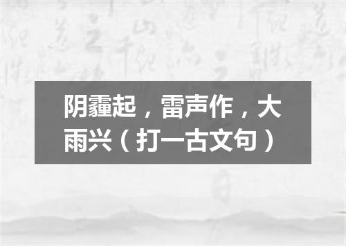 阴霾起，雷声作，大雨兴（打一古文句）