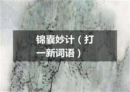 锦囊妙计（打一新词语）