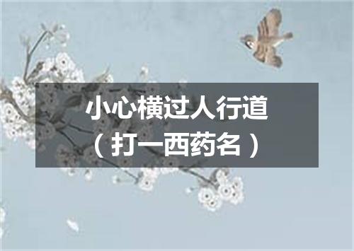 小心横过人行道（打一西药名）