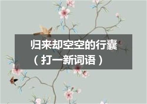 归来却空空的行囊（打一新词语）
