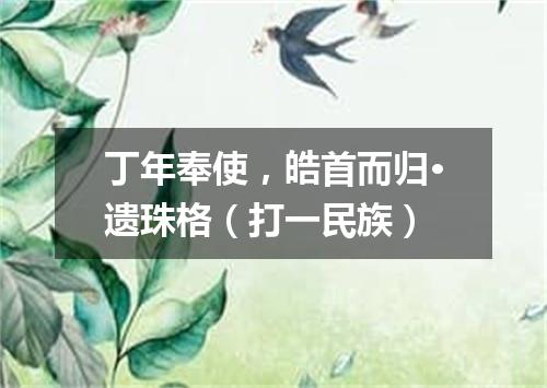 丁年奉使，皓首而归·遗珠格（打一民族）
