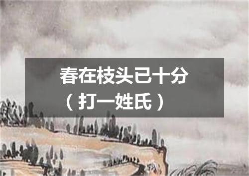 春在枝头已十分（打一姓氏）