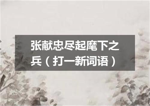 张献忠尽起麾下之兵（打一新词语）