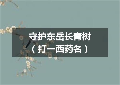 守护东岳长青树（打一西药名）