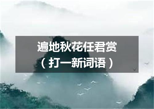 遍地秋花任君赏（打一新词语）