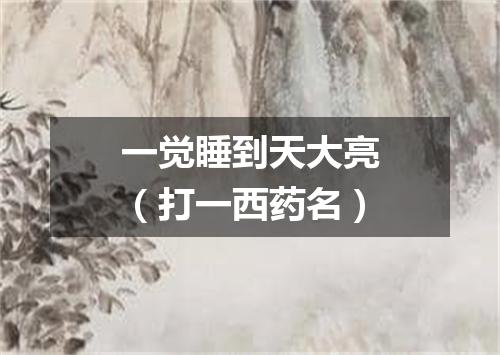 一觉睡到天大亮（打一西药名）