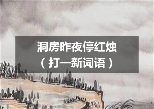 洞房昨夜停红烛（打一新词语）