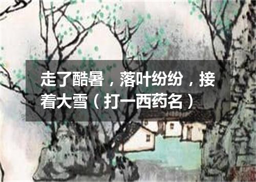走了酷暑，落叶纷纷，接着大雪（打一西药名）