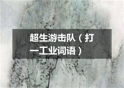 超生游击队（打一工业词语）