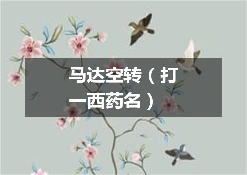 马达空转（打一西药名）