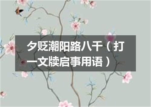 夕贬潮阳路八千（打一文牍启事用语）