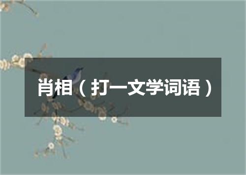 肖相（打一文学词语）