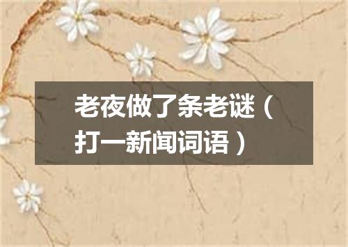 老夜做了条老谜（打一新闻词语）