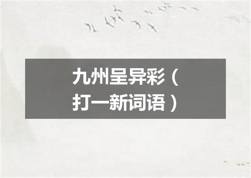 九州呈异彩（打一新词语）