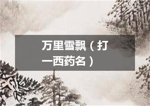 万里雪飘（打一西药名）
