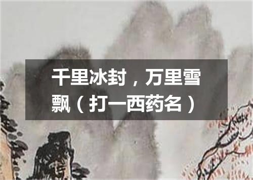 千里冰封，万里雪飘（打一西药名）