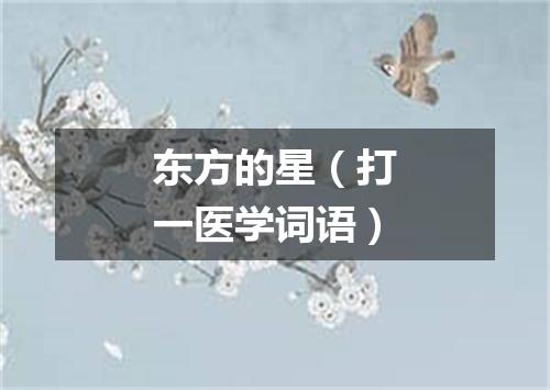 东方的星（打一医学词语）